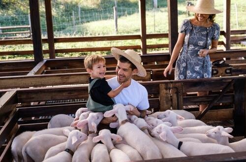 Passeio Caminhos de Pedra