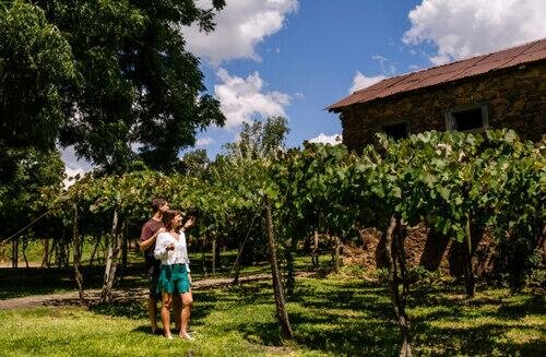 Passeio Caminhos de Pedra
