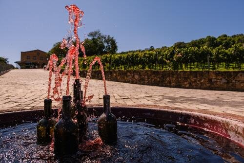 Vale dos Vinhedos: vinícolas, degustação e empório!