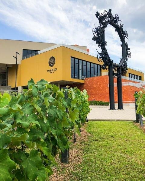 Vale dos Vinhedos: vinícolas, degustação e empório!