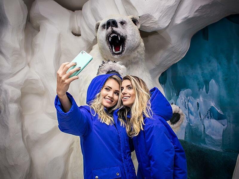 Dreams Park Show: Dreams Ice Bar