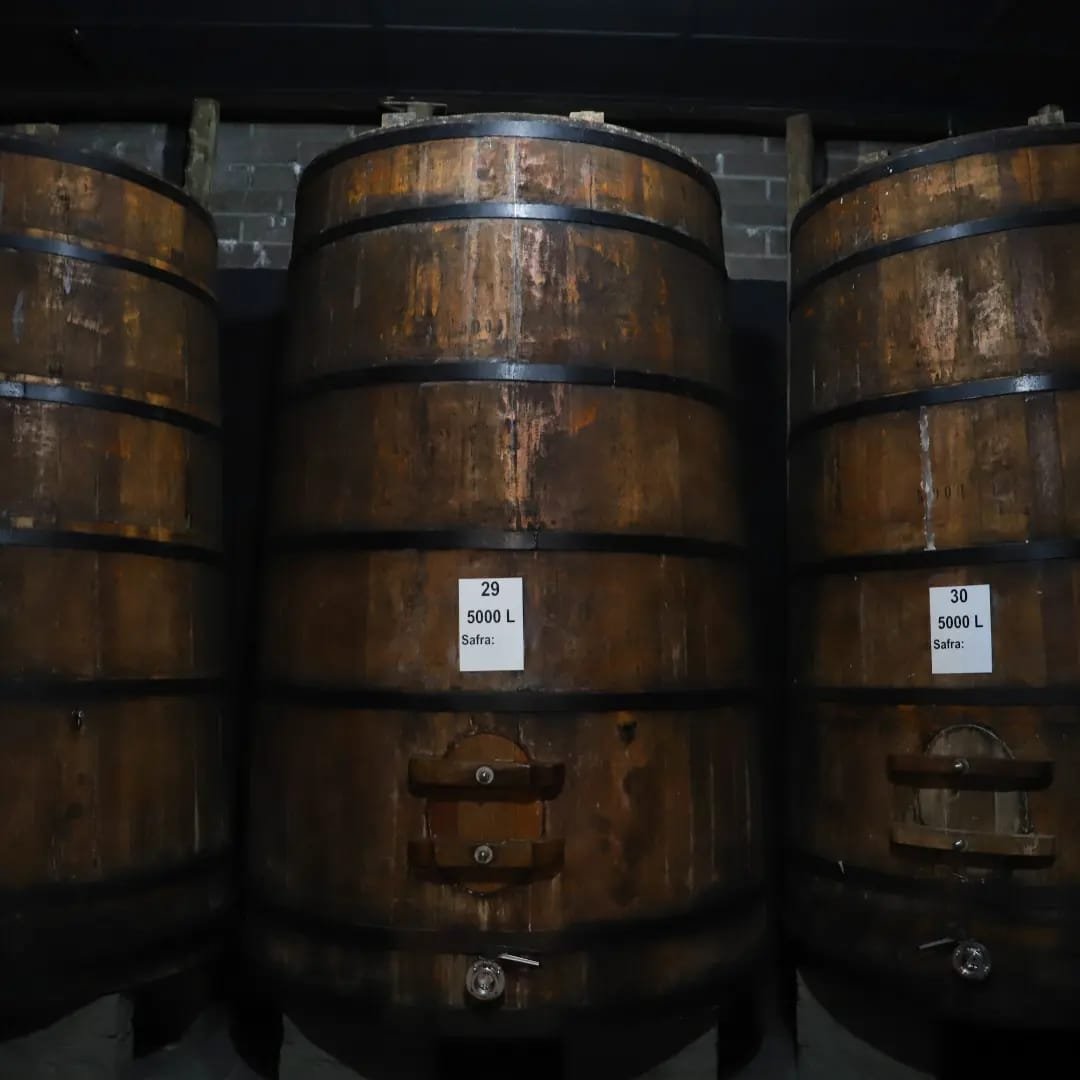 Tour do Vinho com Jolimont, Queijos e Degustações!