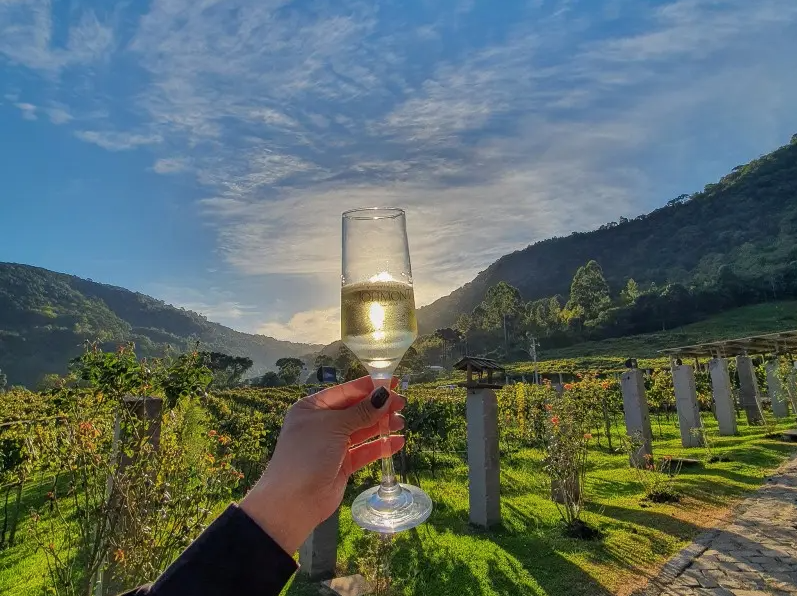 Degustação guiada de vinhos, espumantes, sucos e cervejas, mais taça de brinde! (cópia)