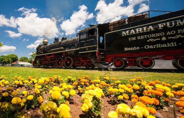 Tour uva e vinho com Maria Fumaça, epopéia, vinícolas e almoço italiano. (cópia)