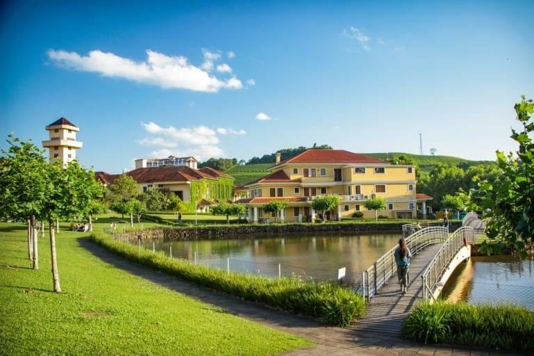 Passeio no Vale dos Vinhedos a bordo de ônibus temático, com vinho e suco inclusos. Roteiro completo com almoço, degustação de vinhos em vinícolas, taça personalizada de brinde e muito mais! (cópia)
