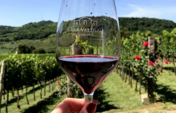 Passeio no Vale dos Vinhedos a bordo de ônibus temático, com vinho e suco inclusos. Roteiro completo com almoço, degustação de vinhos em vinícolas, taça personalizada de brinde e muito mais!