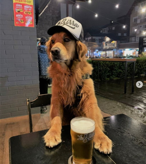 Combo Burger + Fritas no bar da 4ª melhor cervejaria do Brasil!