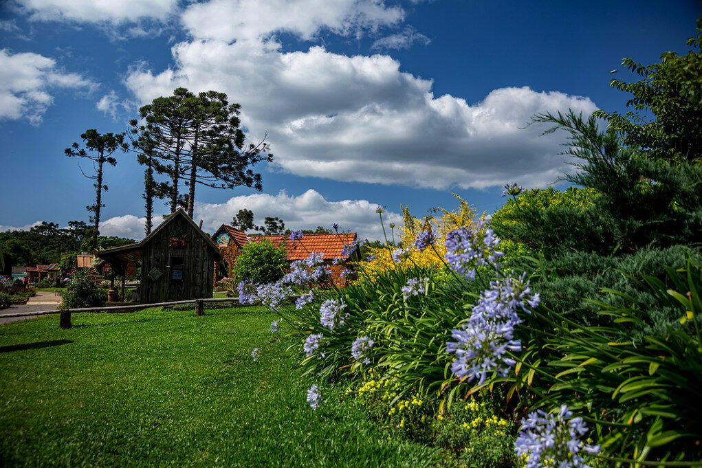 Um paraíso entre pôr do sol e oliveiras