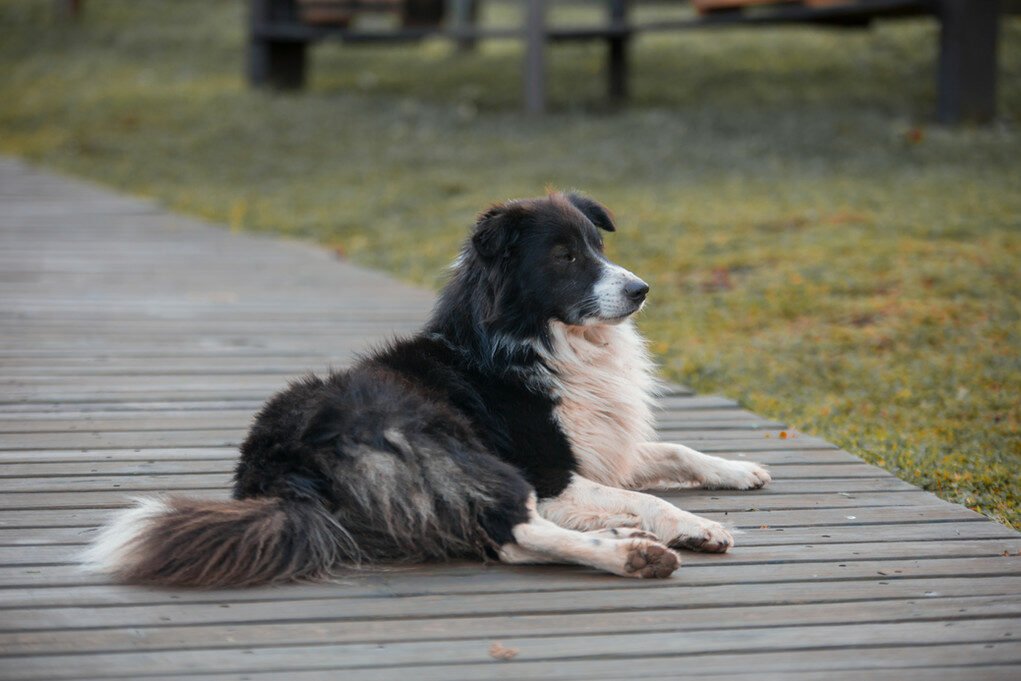 Um paraíso entre pôr do sol e oliveiras
