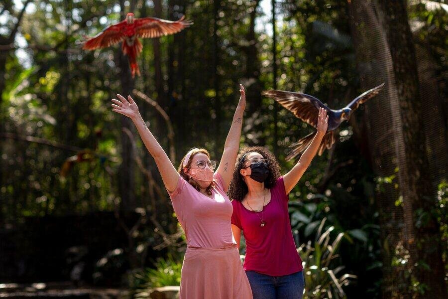 O maior parque de aves da América latina! O único do mundo focado em salvar espécies da mata atlântica.