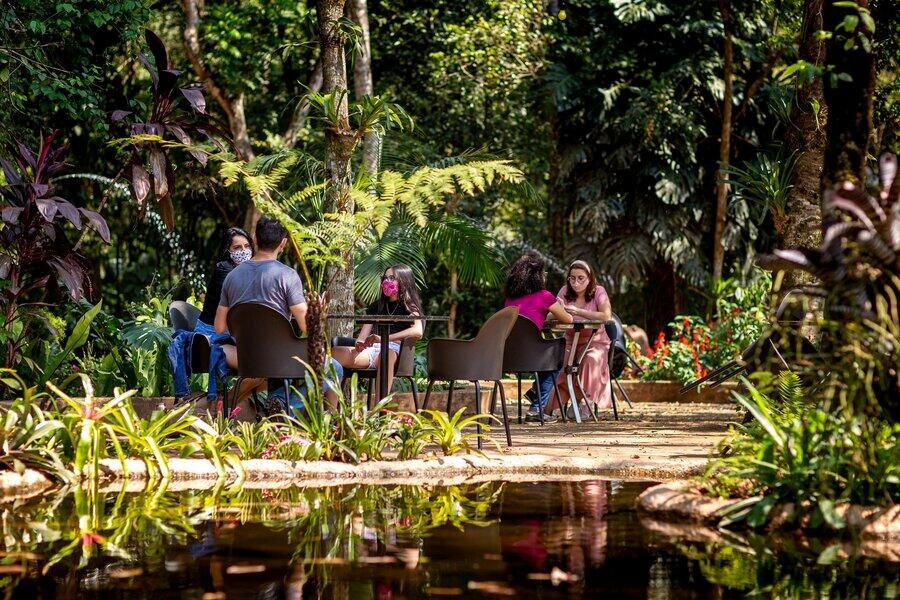 O maior parque de aves da América latina! O único do mundo focado em salvar espécies da mata atlântica.
