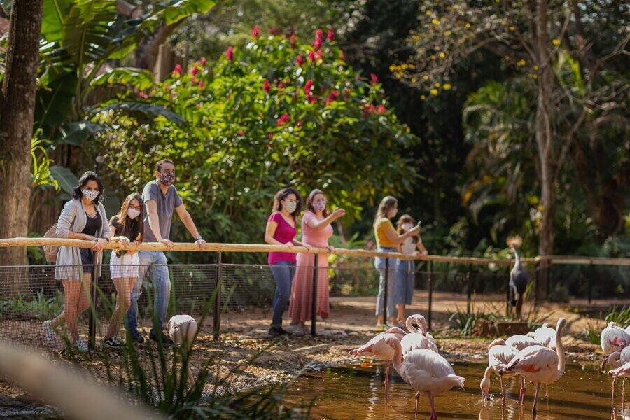 O maior parque de aves da América latina! O único do mundo focado em salvar espécies da mata atlântica.