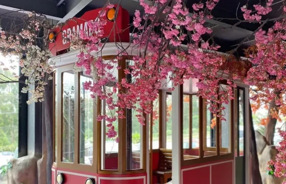 O Paraíso Instagramável Está em Gramado: Conheça o Selfie Gramado!