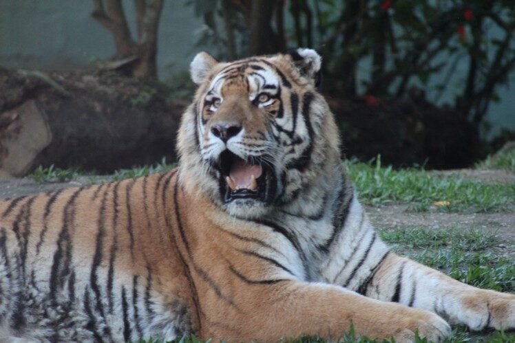 O Maior Zoológio de Santa Catarina: São mais de 900 Animais de Todas as Partes do Mundo!