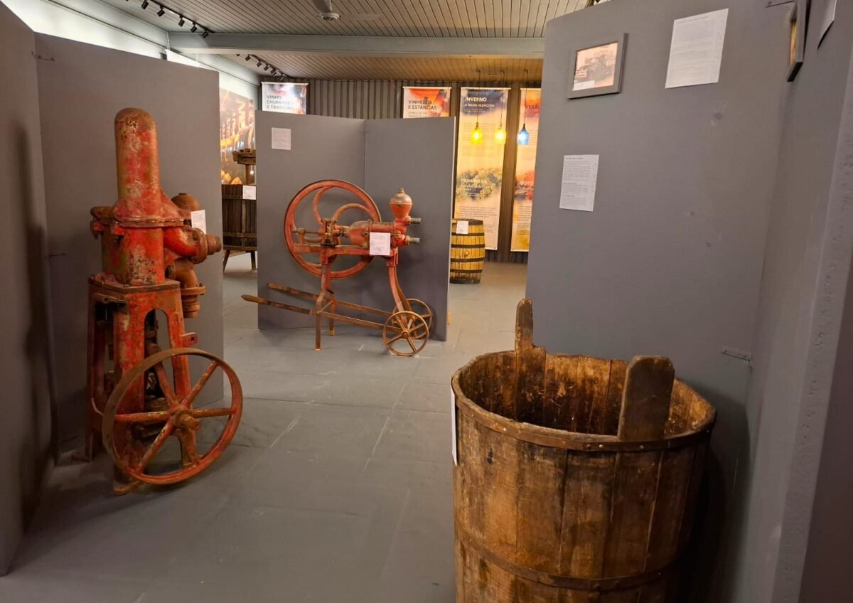 Ingresso para o Museu do Vinho! Uma imersão sensorial na cultura viticultura em Gramado!