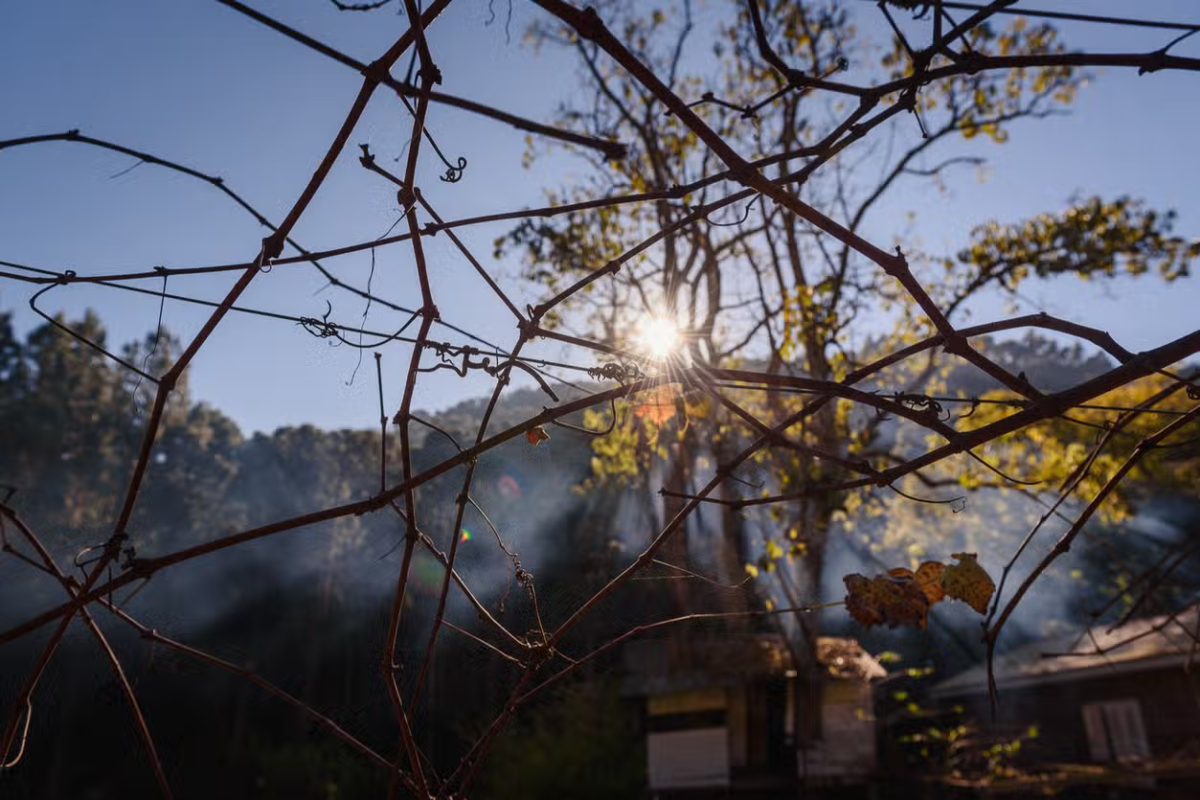 Linha Ávila: Sabores & Tradições do Interior de Gramado!