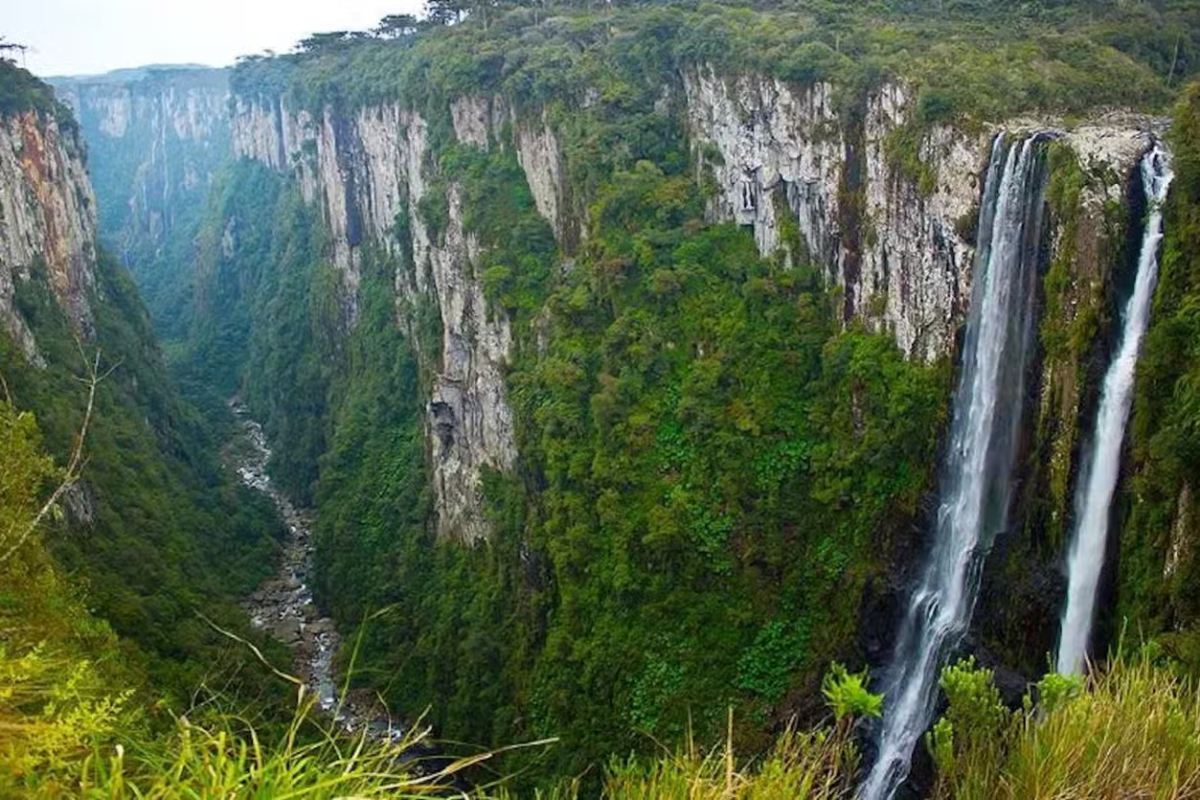 Itaimbezinho + Piquenique: O Gigante Verde do Sul com Sabor e Aventura!