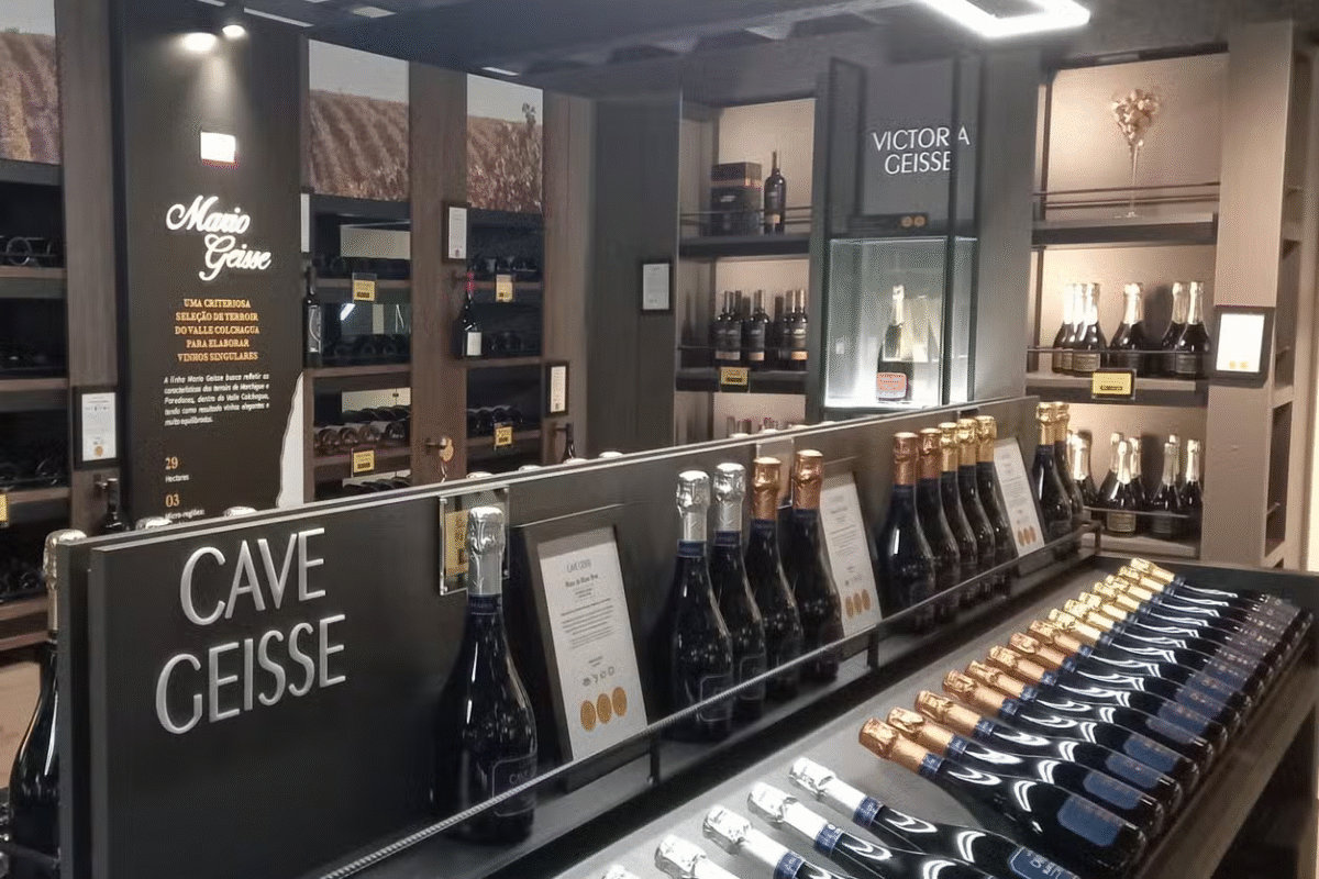 Pinto Bandeira: Um Brinde às Vinícolas mais Charmosas do Sul!