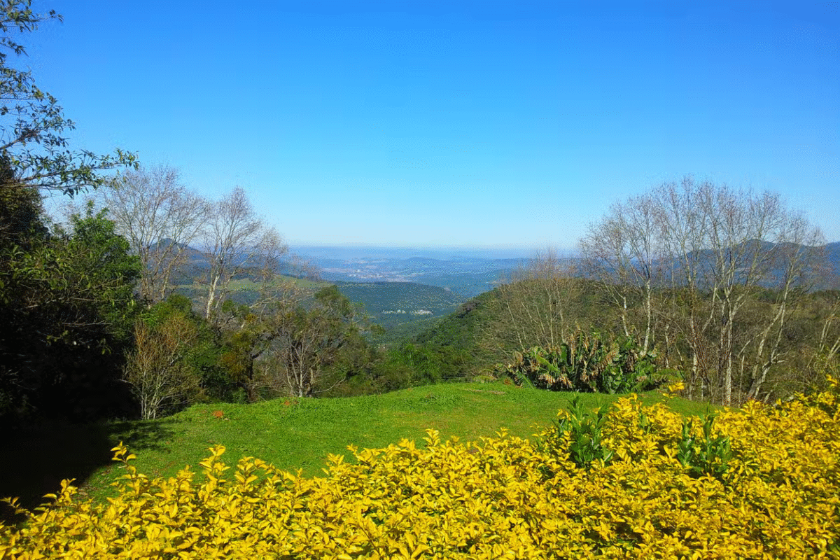 Tradição Tibetana e Compras: Excursão ao Templo Budista e Igrejinha!