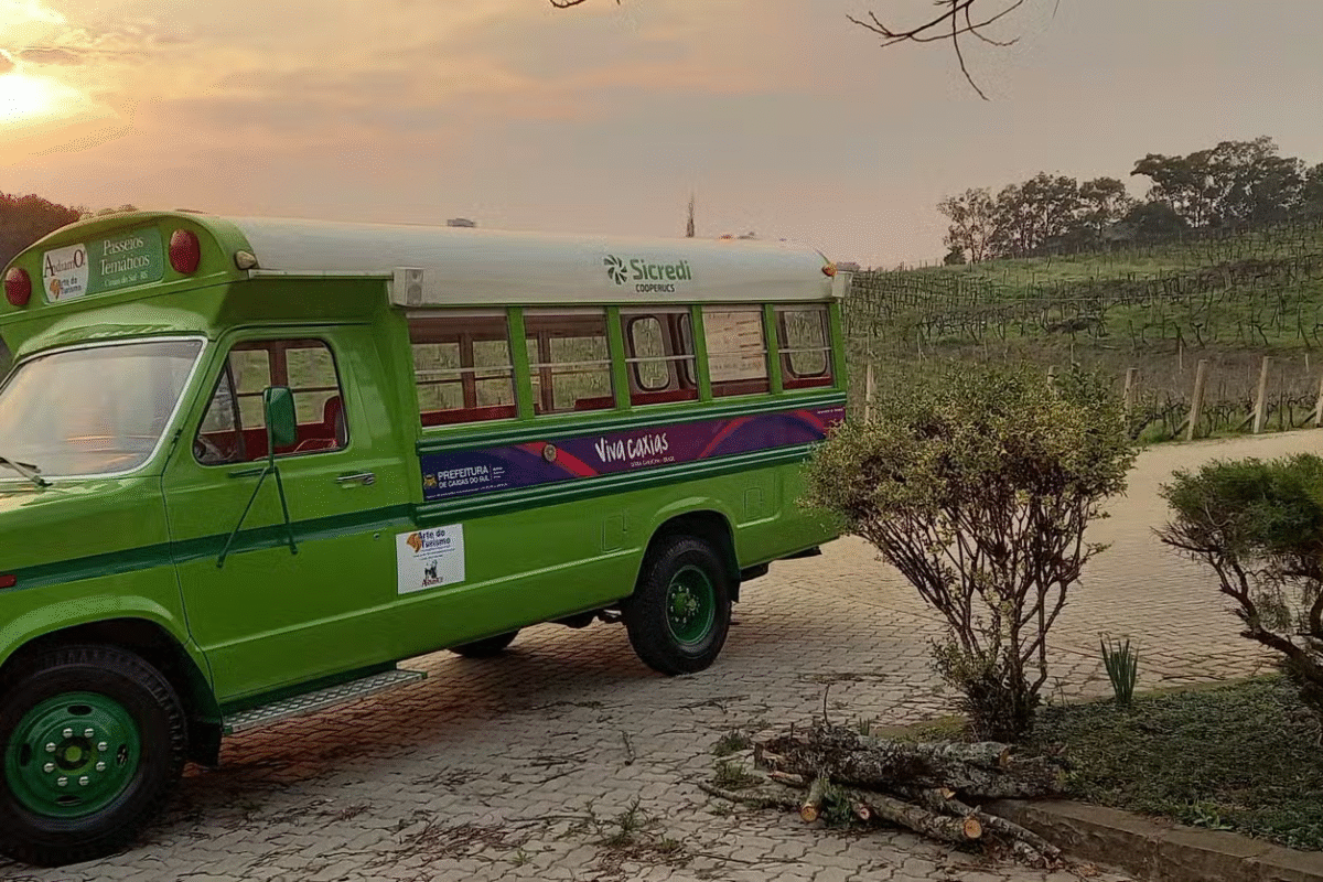 Da Videira ao Cálice: Tour do Vinho em Caxias do Sul e Flores da Cunha!