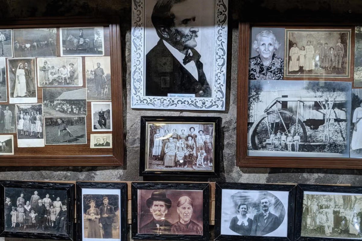 Tour Raízes Coloniais: Passeio Rural Com Café Colonial - Viva um dia com aroma de história, tradição e pão caseiro recém-saído do forno!
