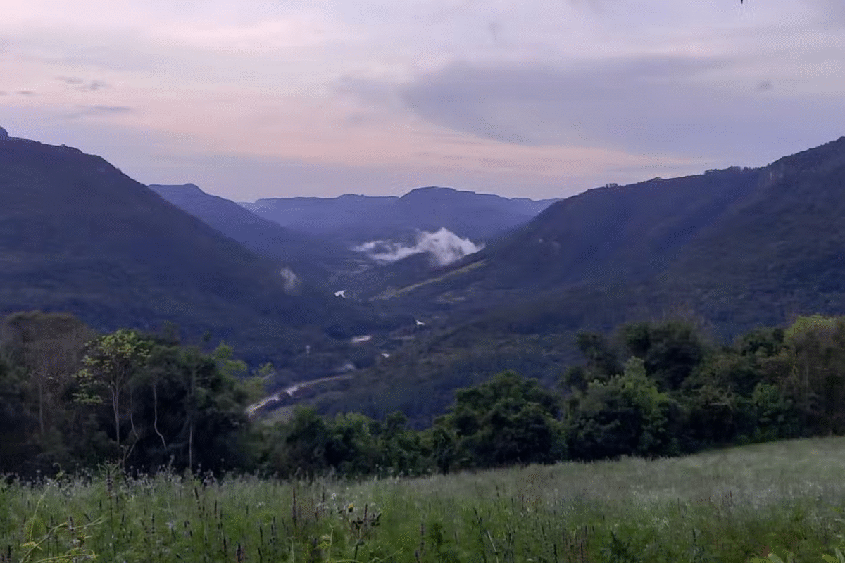 Vale Trentino: Vinhos, Paisagens e Sabores na Serra Gaúcha!