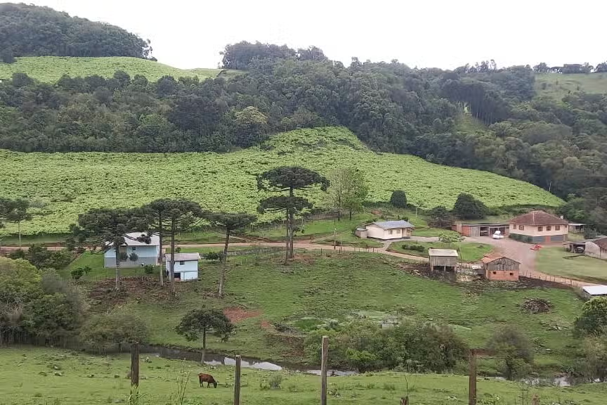 Tour Uva e Vinho: Um Passeio de Ônibus Temático pelas Paisagens de Caxias do Sul!