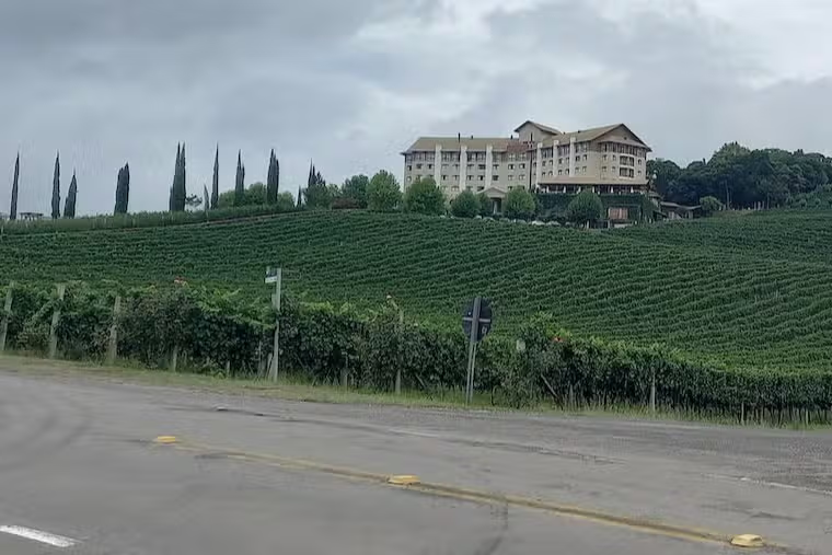 Tour dos Vinhos: Um Dia no Encanto do Vale dos Vinhedos!