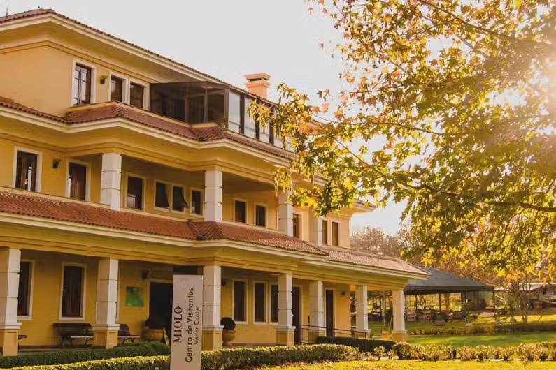 Tour Gran Reserva: Vale dos Vinhedos - Vinhos, Histórias & Degustações Inesquecíveis!