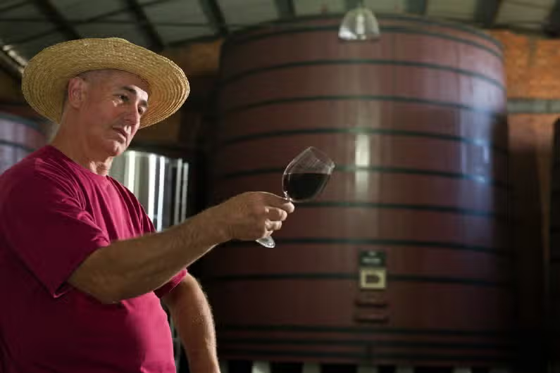 Tour Gran Reserva: Vale dos Vinhedos - Vinhos, Histórias & Degustações Inesquecíveis!