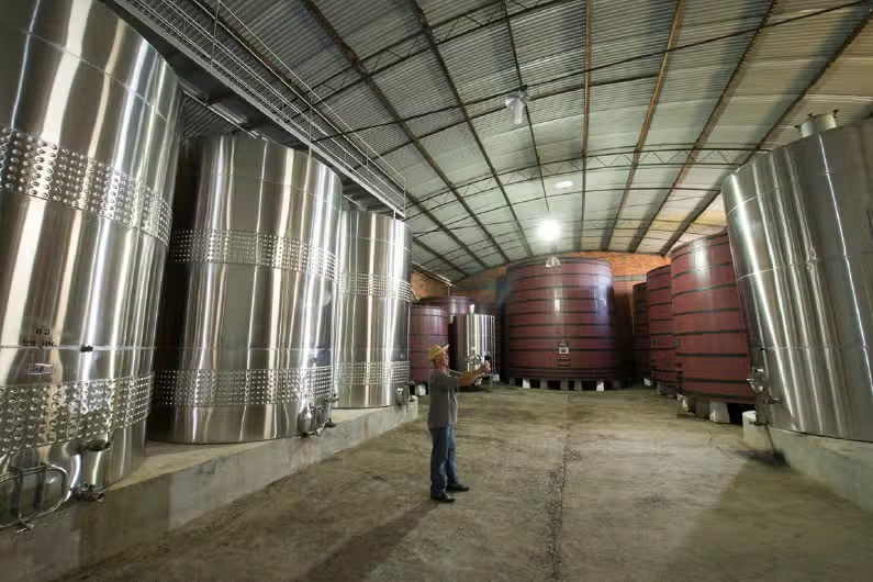 Tour Gran Reserva: Vale dos Vinhedos - Vinhos, Histórias & Degustações Inesquecíveis!