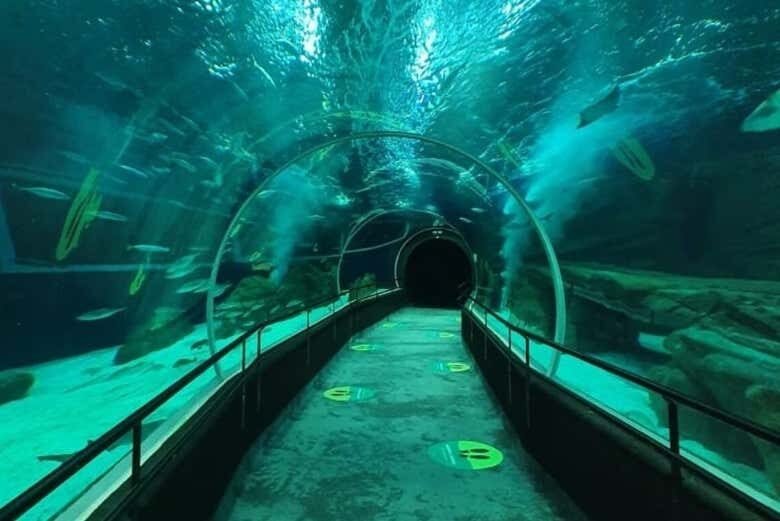 Experiência Privada no Rio de Janeiro com Guia Exclusivo!