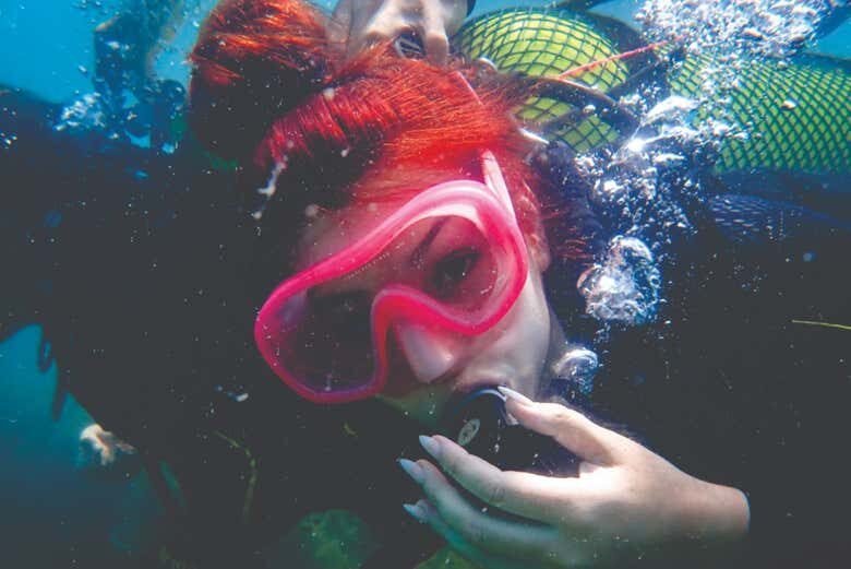 Batismo de Mergulho em Ilhabela: Explore o Fascinante Mundo Subaquático!