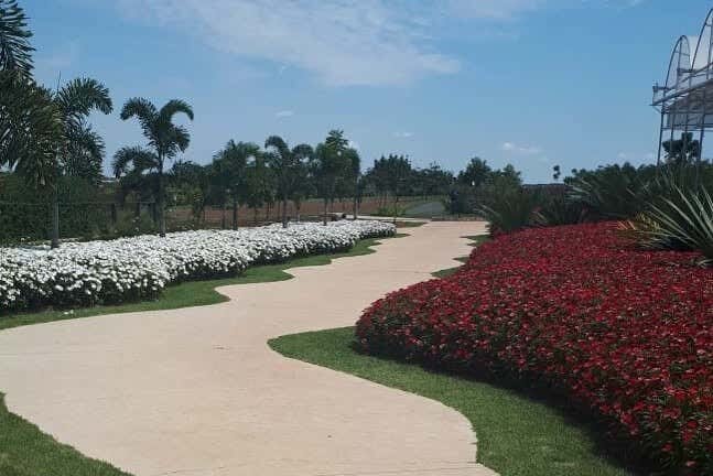 Explore a Charmosa Cidade das Flores em Holambra!