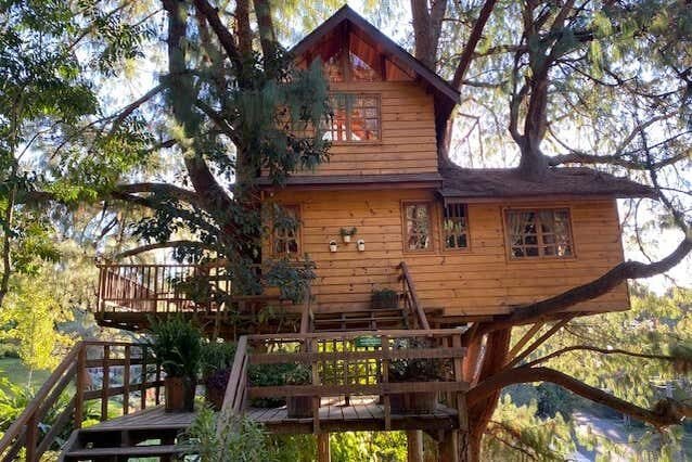 Tour Privado em Campos do Jordão: Explore a Cidade e o Parque Amantikir com Conforto e Exclusividade!