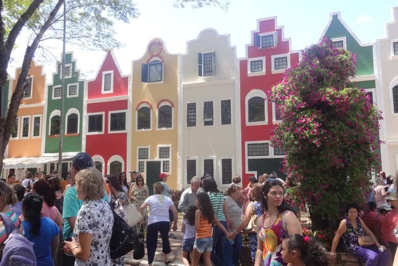 Explore a Charmosa Cidade das Flores em Holambra!