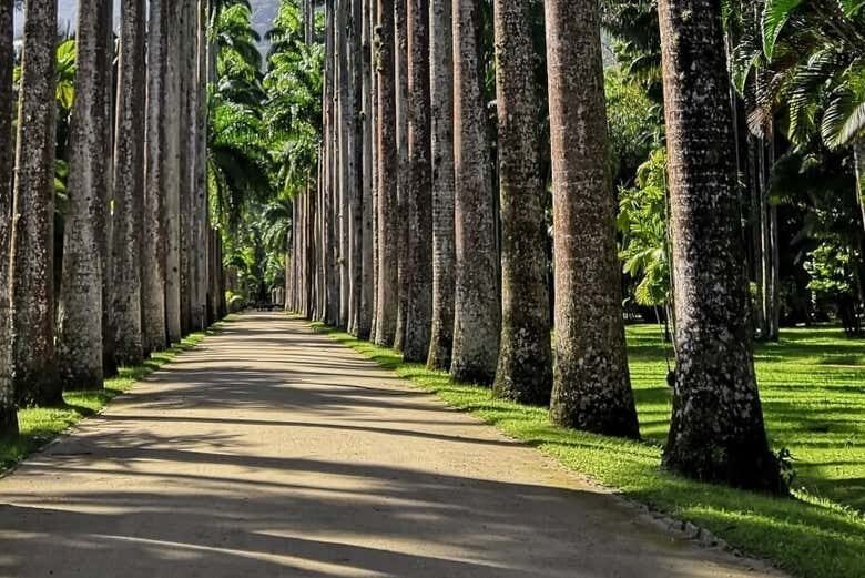 Experiência Privada no Rio de Janeiro com Guia Exclusivo!