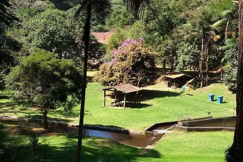 Explore as Belezas Naturais da Serra da Cantareira – Imperdível Trilha de Aventura Próxima a São Paulo!