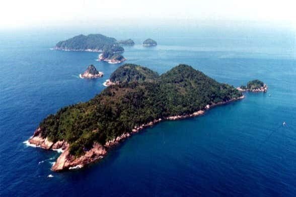 Explore as Ilhas Couves e Prumirim em um Incrível Passeio de Escuna!