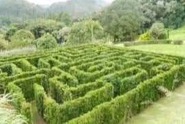 Tour Panorâmico por Campos do Jordão + Parque Amantikir!