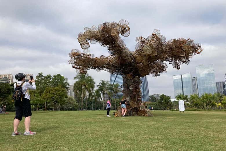 Pedale por São Paulo: Explore o Parque Ibirapuera e o Centro Histórico!