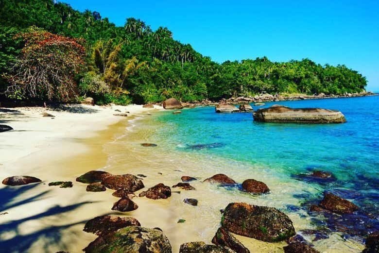 Explore as Ilhas Couves e Prumirim em um Incrível Passeio de Escuna!