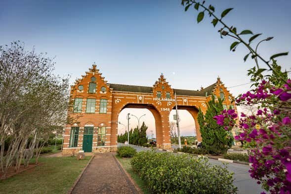 Descubra a Holanda Brasileira: Tour Completo por Holambra