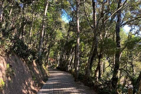 Desfrute da Beleza do Parque Amantikir: Tour de Campos do Jordão!