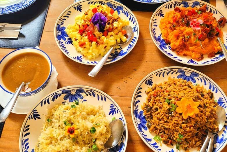 Descubra a Holanda Brasileira: Tour Completo por Holambra