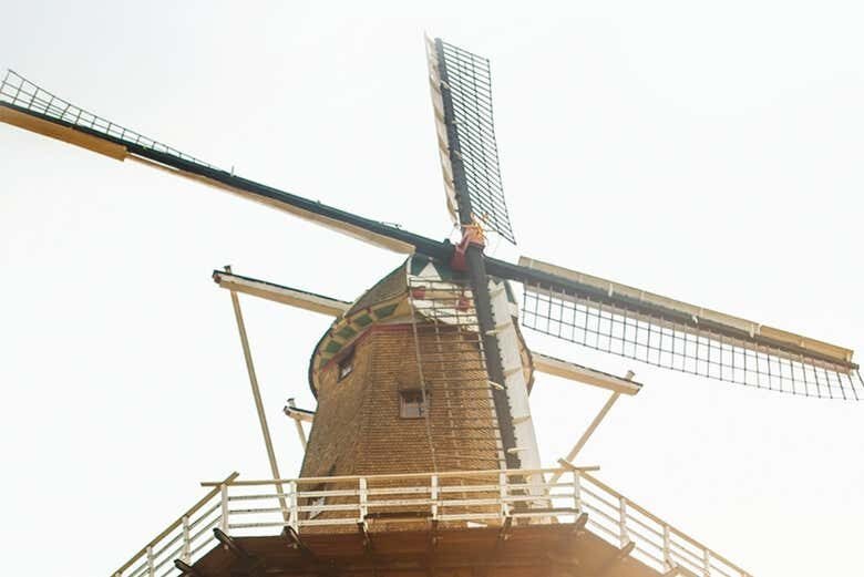 Descubra a Holanda Brasileira: Tour Completo por Holambra