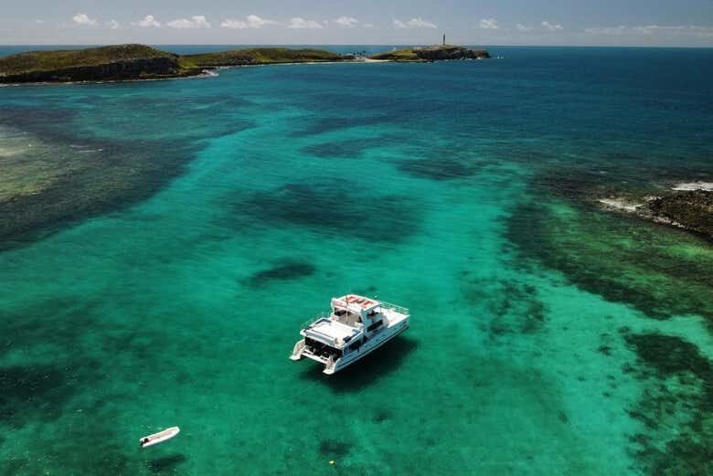 Descubra o Paraíso: Excursão ao Parque Nacional Marinho de Abrolhos!