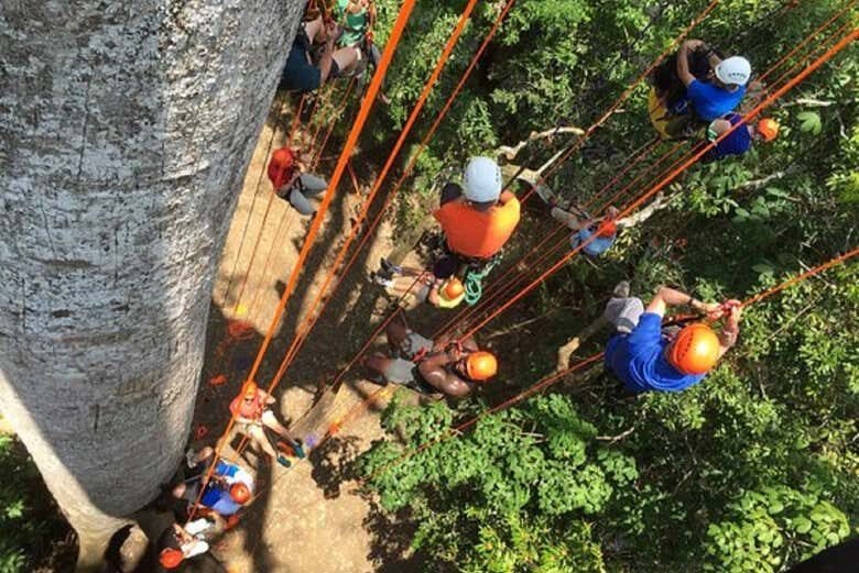 Aventura na Floresta Amazônica: Emoção e Natureza!