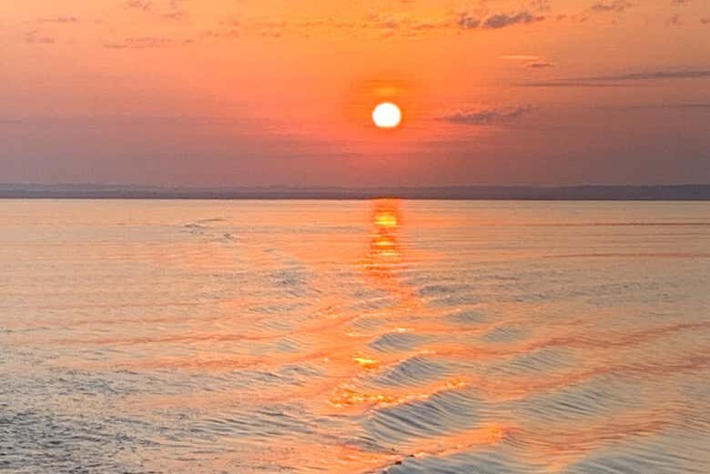 Desvende os mistérios da Floresta Amazônica com um passeio incrível de 12 horas!