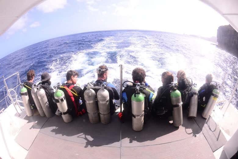 Desvende as Profundezas de Fernando de Noronha com Mergulhos Incríveis!